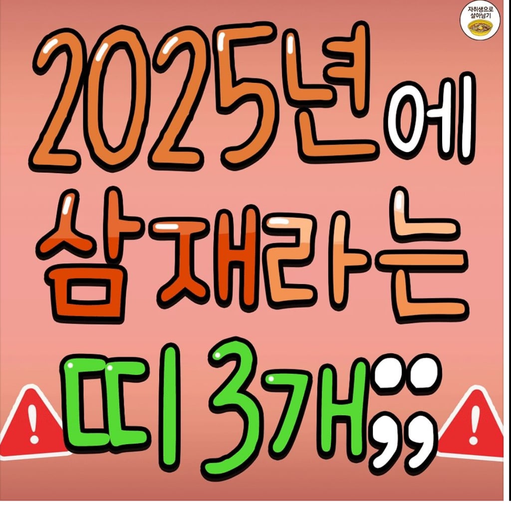 2025년에 삼재라는 띠 3개.jog | 인스티즈