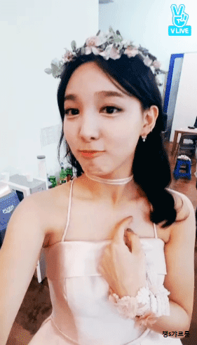 트와이스) 하루사이에 4번째 v앱 -나연,다현,쯔위 | 인스티즈