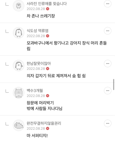 ❤️‍🔥💣섹스 판타지 말하면 환상 개박살내주는 여시들 모임 달글🥰🔪❤️‍🔥 | 인스티즈