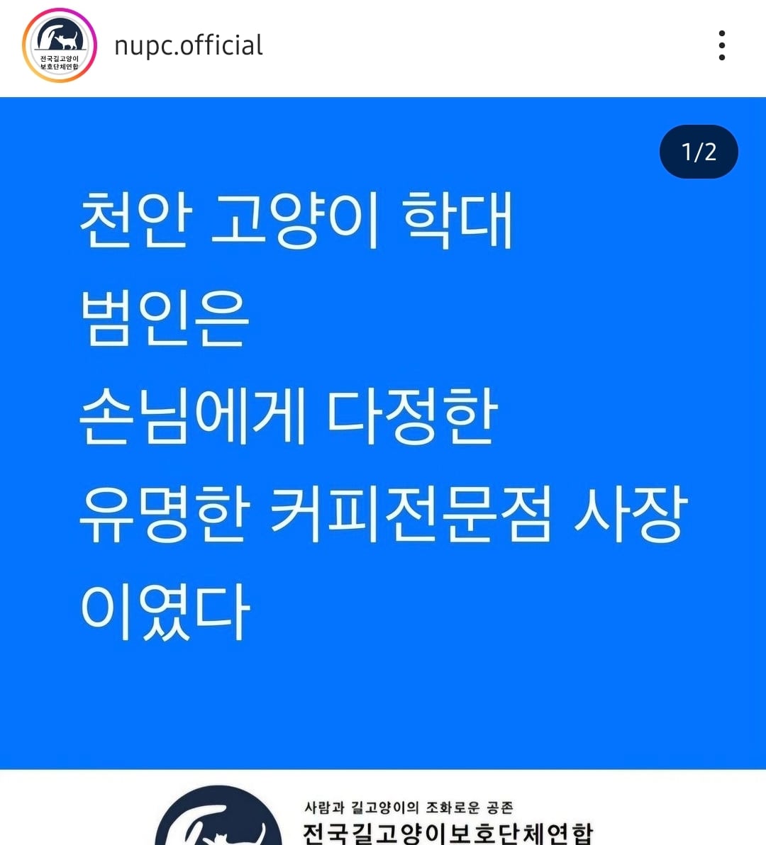 천안 길고양이 학대 사건 가해자 신상털림‼️ 공익목적⭕️ 천안 디저트카페 사장임 | 인스티즈