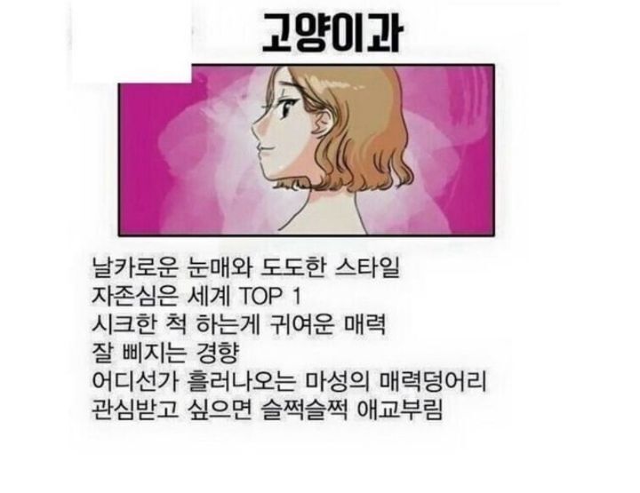 다섯가지 여성 스타일 | 인스티즈