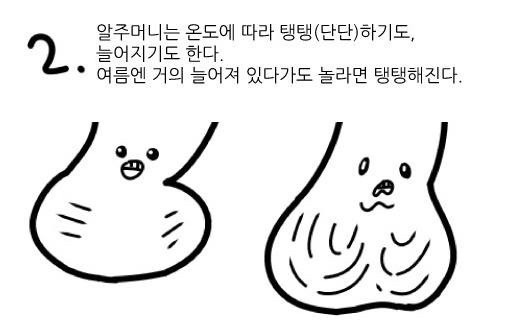 여자는 잘 모르는 꼬추의 비밀 | 인스티즈