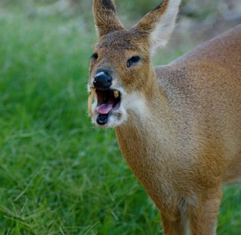 ❤️‍🔥💣섹스 판타지 말하면 환상 개박살내주는 여시들 모임 달글🥰🔪❤️‍🔥 | 인스티즈
