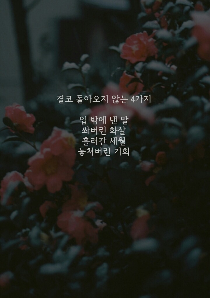 공부자극짤 품+인생자극 | 인스티즈