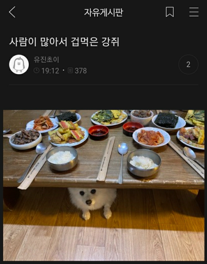 여시들이 사는 소소한 이야기(동물캡쳐 많음 ㅋ) | 인스티즈
