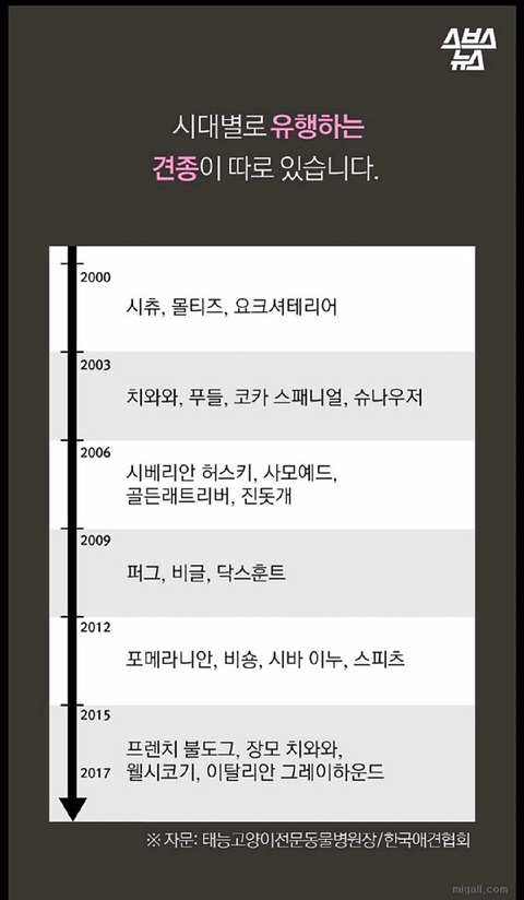 특히 우리나라에서 심한 강아지 유행 | 인스티즈