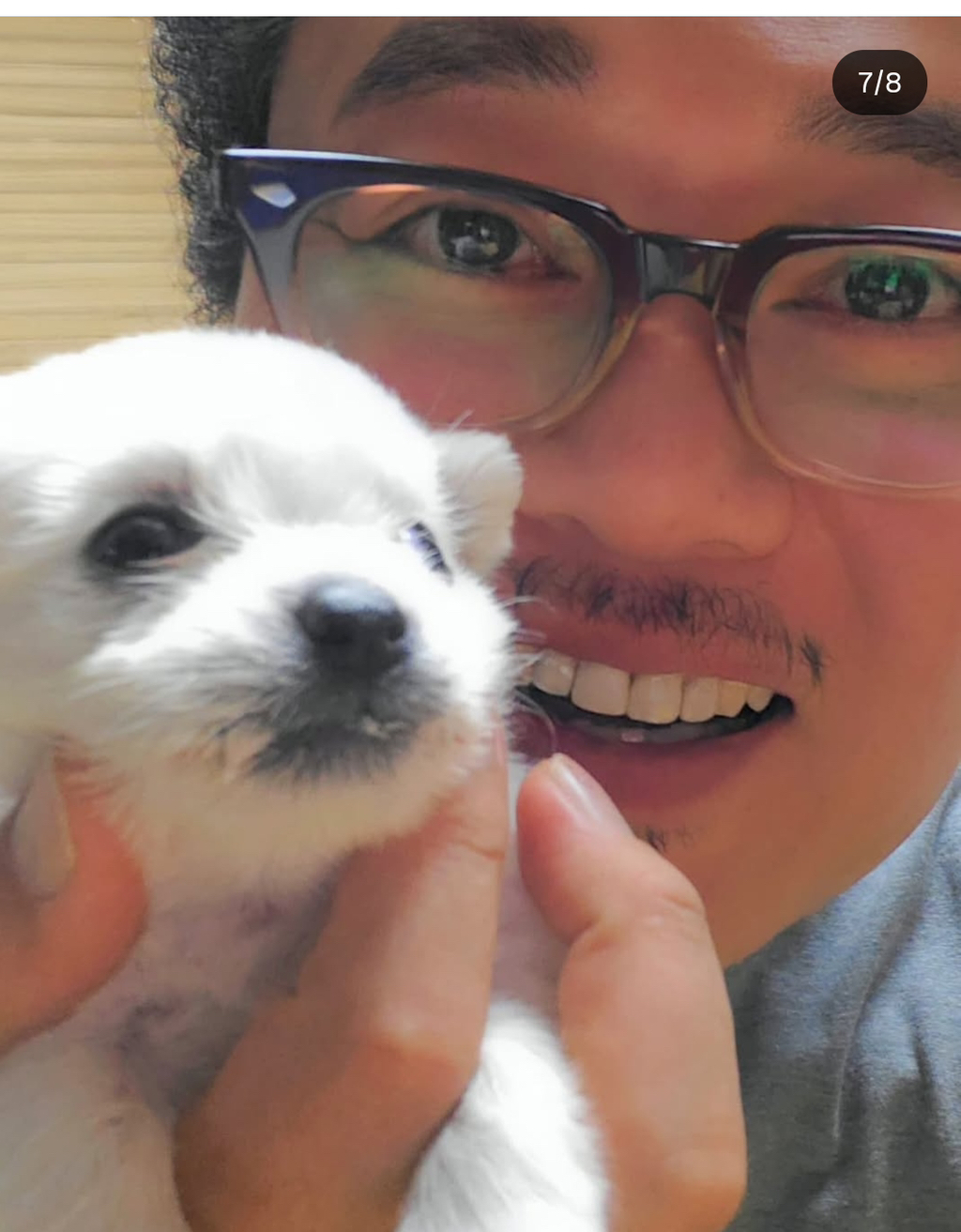 유퀴즈 나오는 윤택이 입양한 반려견 달몽이 | 인스티즈