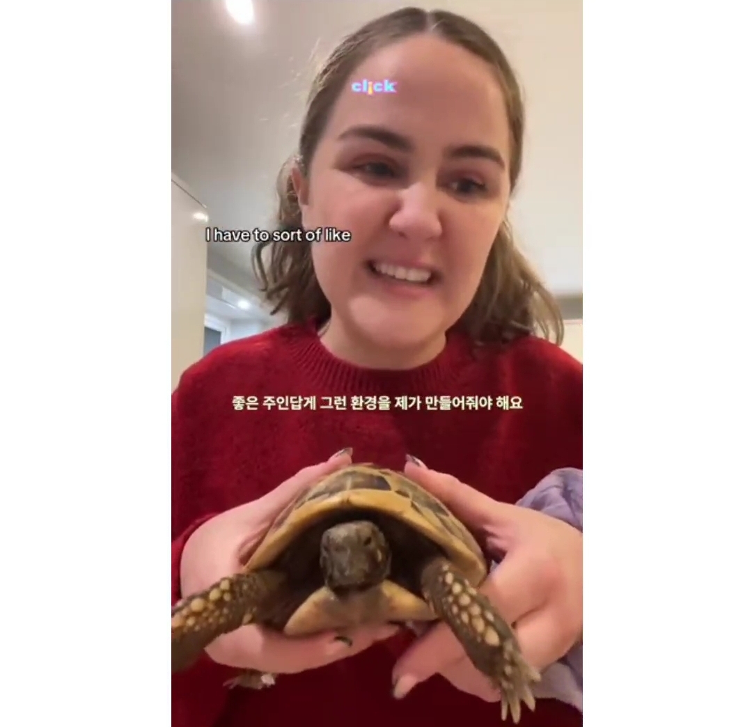 냉장고에서 12주동안 겨울잠을 잔다는 거북이 | 인스티즈