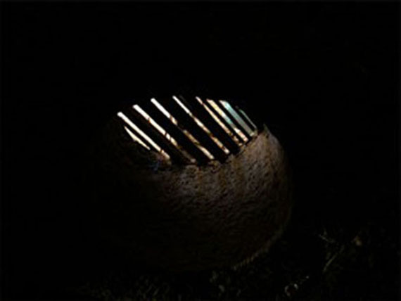 중세시대 사용되었던 고문과 형벌 (혐오주의) | 인스티즈