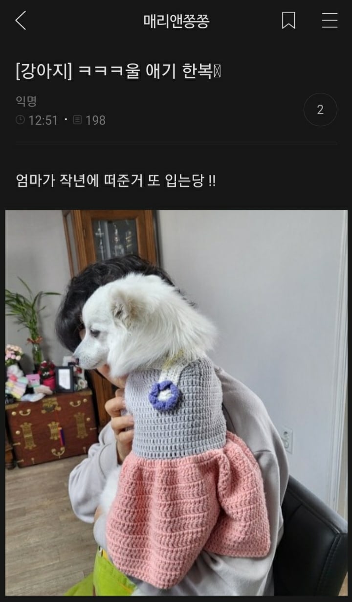 여시들이 사는 소소한 이야기(동물캡쳐 많음 ㅋ) | 인스티즈