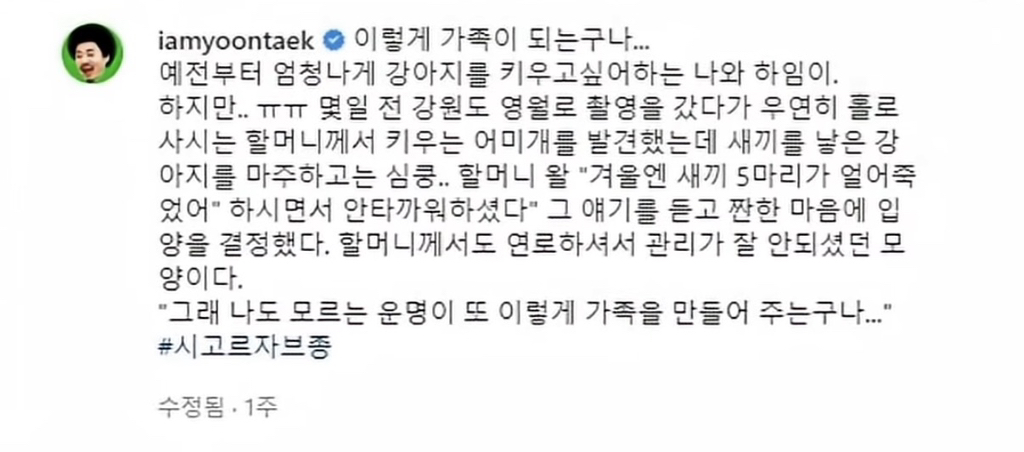 유퀴즈 나오는 윤택이 입양한 반려견 달몽이 | 인스티즈