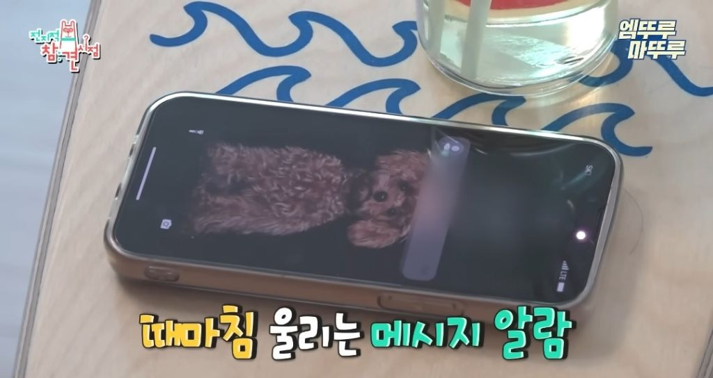 찐 ISFP라는 엄현경의 귀찮음 수준 | 인스티즈