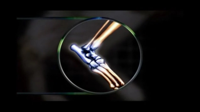 고양이는 뭘로 걸어 여시야????? | 인스티즈