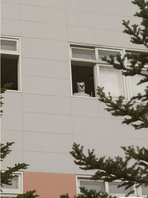 이쯤에서 보는 예전 의정부고 졸사들 | 인스티즈