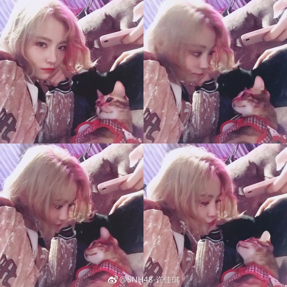 단발이 신의 한수가 된 중국 아이돌 | 인스티즈