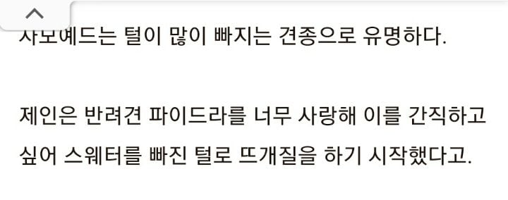 반려견 사모예드 너무 좋아해 빠진 털 모아 '뜨개질'한 옷 입는 여성 | 인스티즈