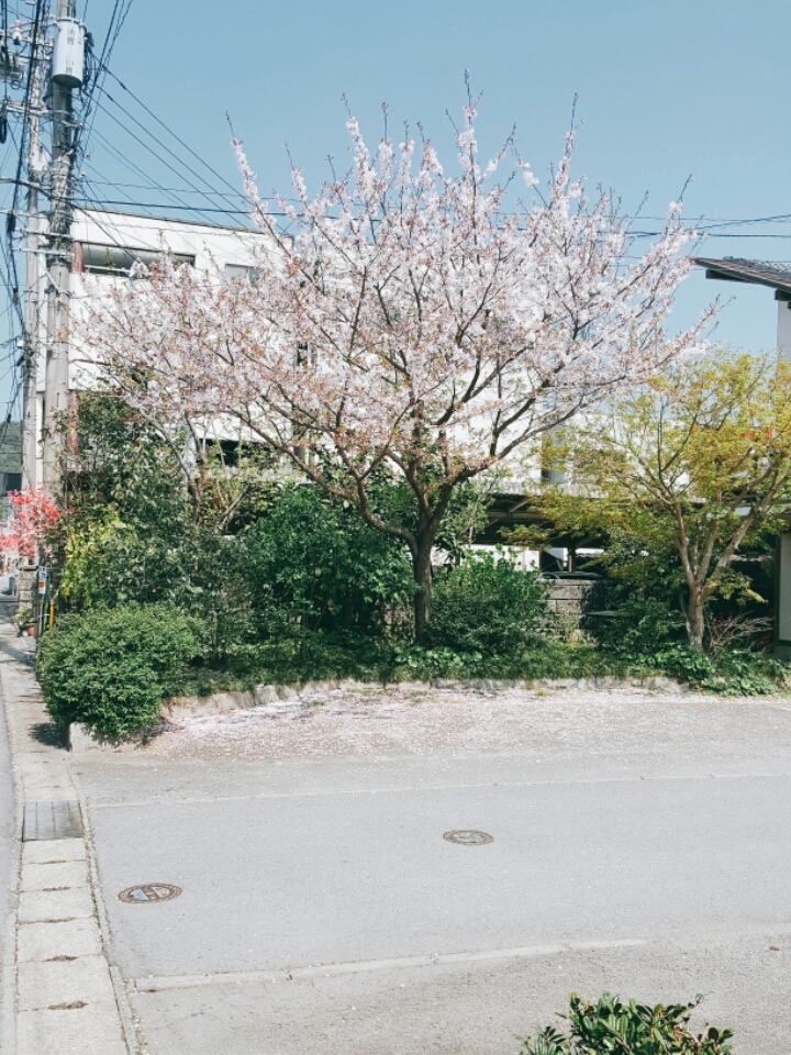일본 시골마을에서 찍은 사진들 | 인스티즈