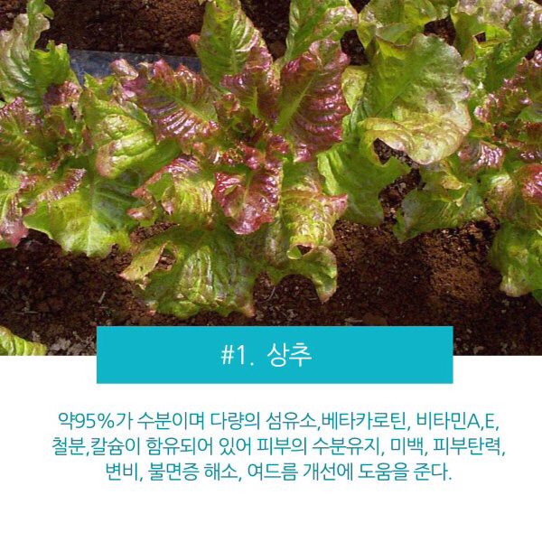 여드름에 좋은 음식(알아두면 좋은 생활TIP) | 인스티즈