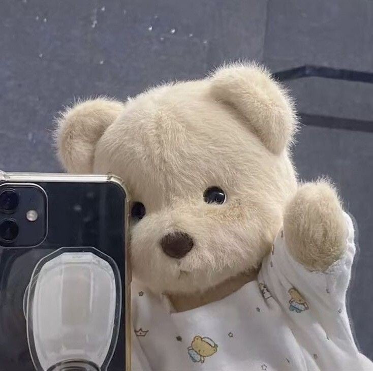 요즘 프사로 많이 보이는 귀여운 곰인형! 레나베어🧸 | 인스티즈