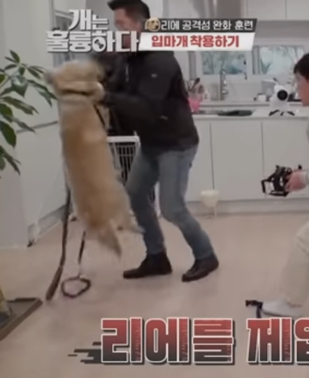 강형욱의 논란들에 대한 정리 feat.설채현 | 인스티즈