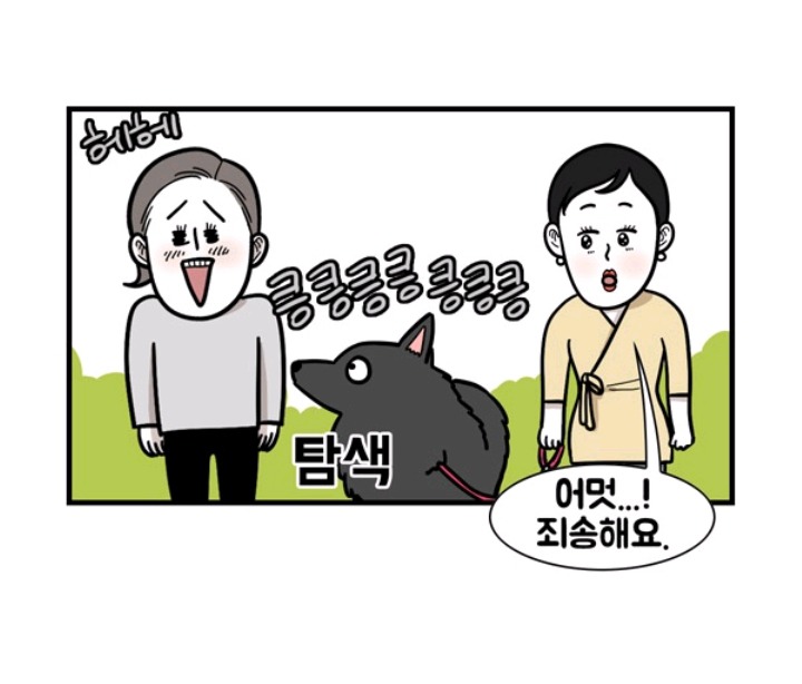 개 좋아하는 사람 특징 | 인스티즈