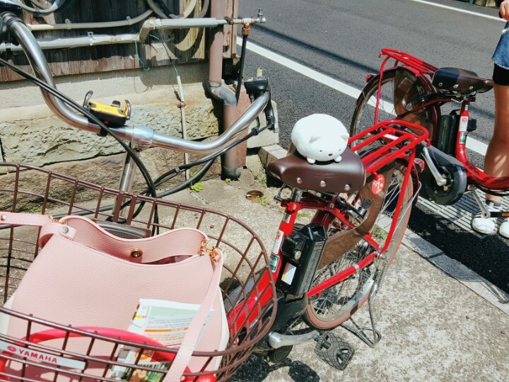 일본 시골마을에서 찍은 사진들 | 인스티즈
