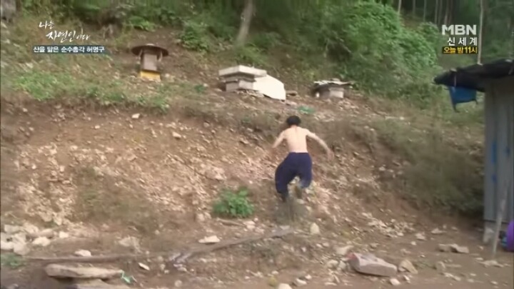 나는 자연인이다 말벌킬러 허명구씨ㅋㅋㅋㅋㅋㅋ | 인스티즈