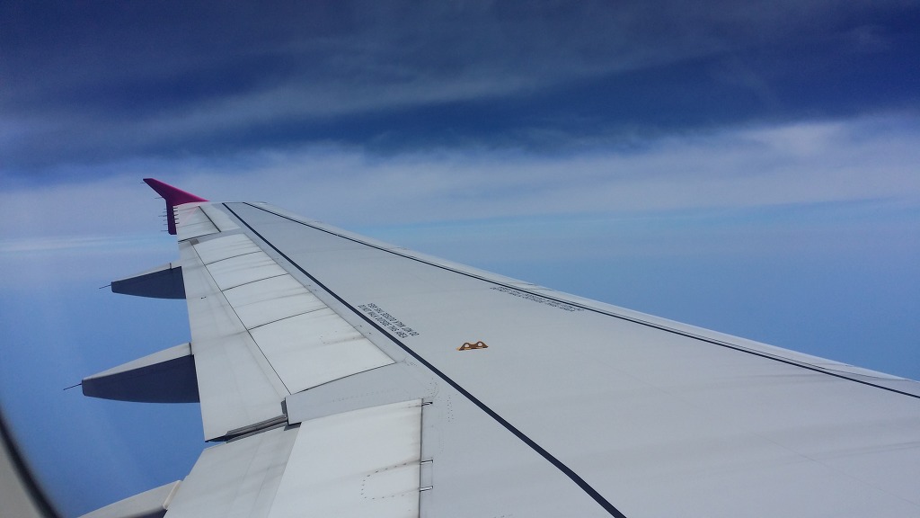 일본 오사카 여행 리얼후기 1탄!! 핫한 여행지 오사카로 떠나봐요!!_ | 인스티즈