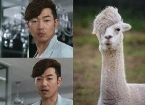 싱크로율 100% | 인스티즈