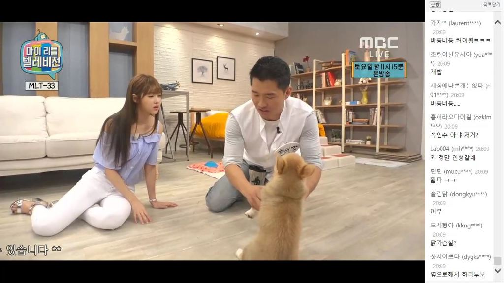 강형욱 훈련사가 알려주는 애견키우기 팁(feat 마리텔) | 인스티즈