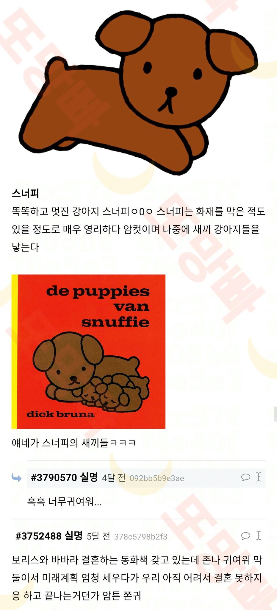 미피 TMI를 알아볼까ㅇxㅇ (스압) | 인스티즈