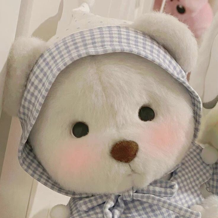 요즘 프사로 많이 보이는 귀여운 곰인형! 레나베어🧸 | 인스티즈