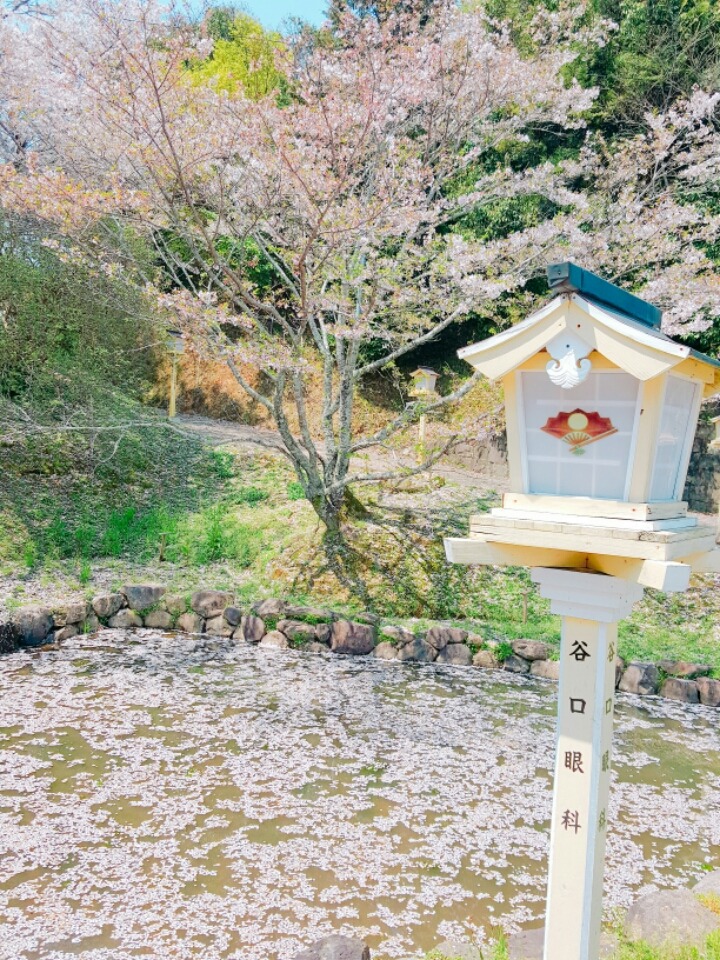 일본 시골마을에서 찍은 사진들 | 인스티즈