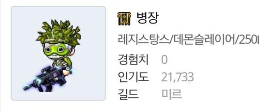 [메이플] 닉값하는 코디 모음.jpg | 인스티즈