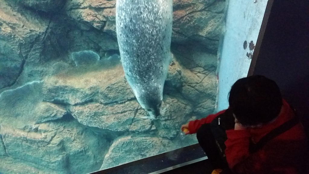 일본 오사카 여행 리얼후기 1탄!! 핫한 여행지 오사카로 떠나봐요!!_ | 인스티즈