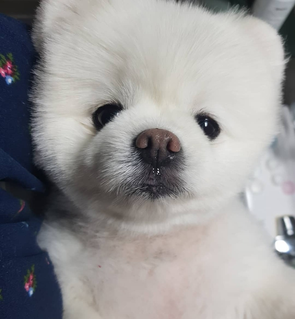 두바이 인공 서핑장 | 인스티즈