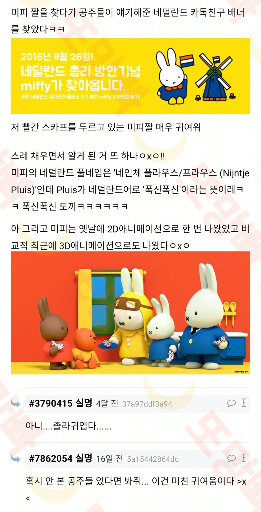 미피 TMI를 알아볼까ㅇxㅇ (스압) | 인스티즈