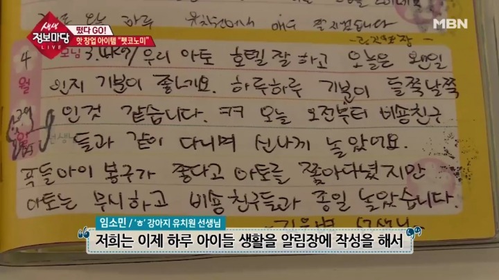 겁나 체계적인 강아지 유치원.jpg | 인스티즈