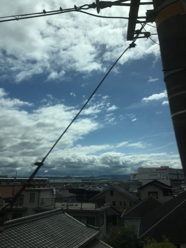 나홀로 교토여행 13박14일(6일차-1 오카야마성,고라쿠엔,구라시키미관지구) | 인스티즈