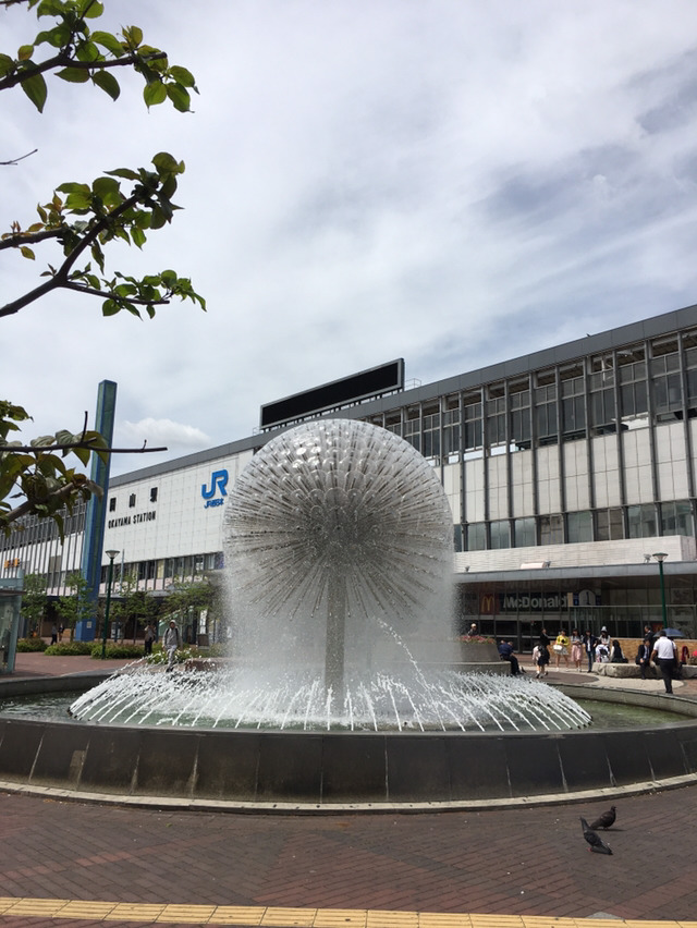 나홀로 교토여행 13박14일(6일차-1 오카야마성,고라쿠엔,구라시키미관지구) | 인스티즈