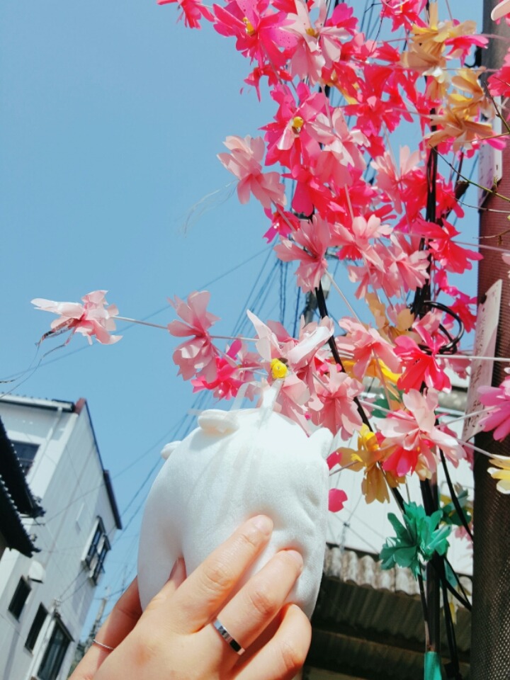 일본 시골마을에서 찍은 사진들 | 인스티즈