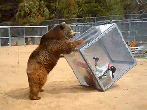 무도가....베껴야할.....일본.....예능.....gif | 인스티즈