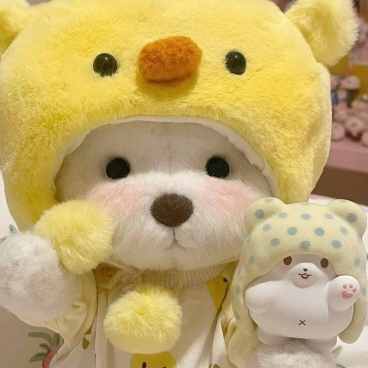 요즘 프사로 많이 보이는 귀여운 곰인형! 레나베어🧸 | 인스티즈