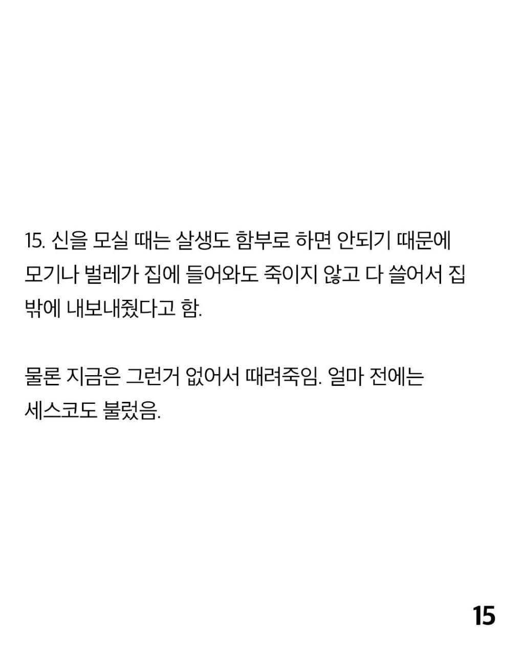 무속과 사주팔자에 대한 사실들 | 인스티즈