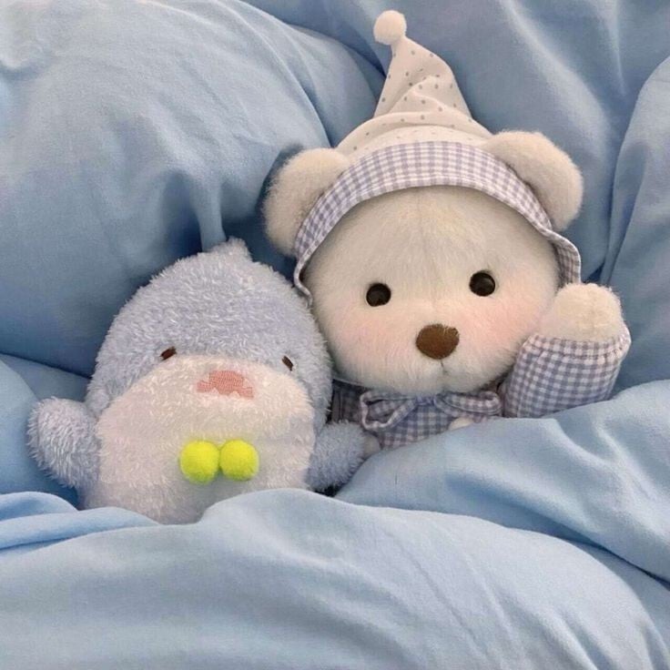 요즘 프사로 많이 보이는 귀여운 곰인형! 레나베어🧸 | 인스티즈