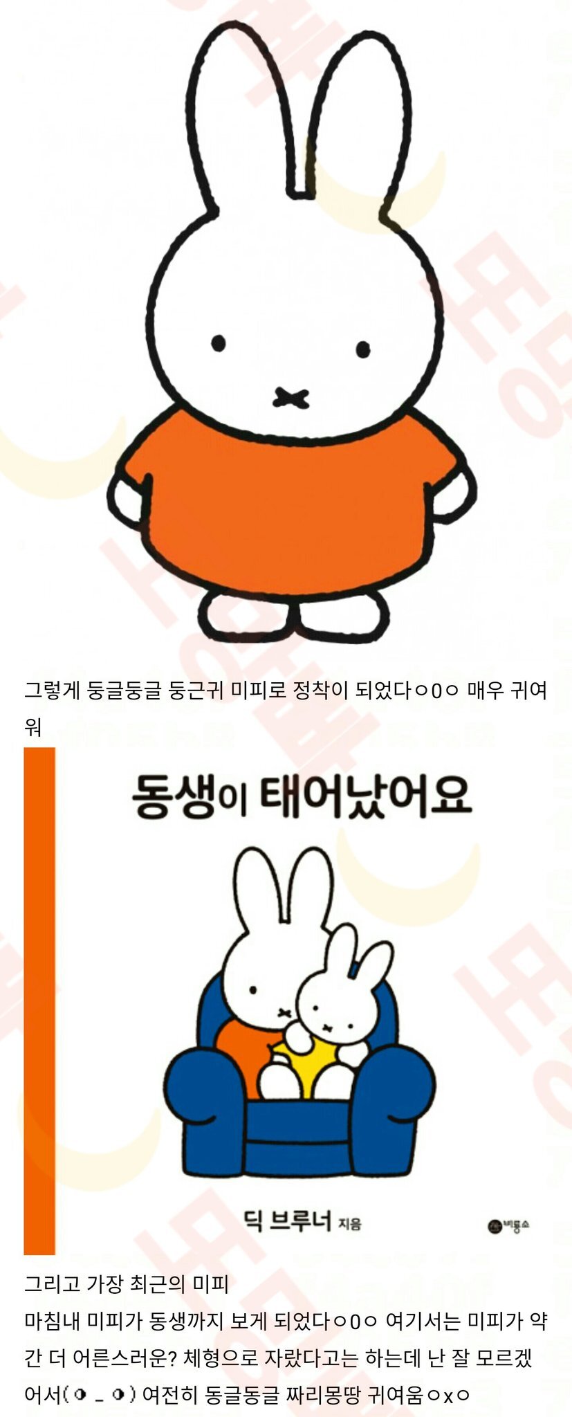 미피 TMI를 알아볼까ㅇxㅇ (스압) | 인스티즈