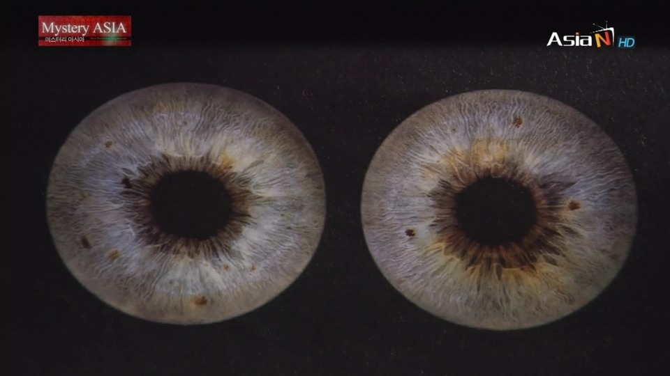 [얼굴이란무엇인가] 사람의 관상에 대해 재밌는 얘기가 있길래 캡쳐해봤긔! | 인스티즈