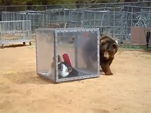 무도가....베껴야할.....일본.....예능.....gif | 인스티즈