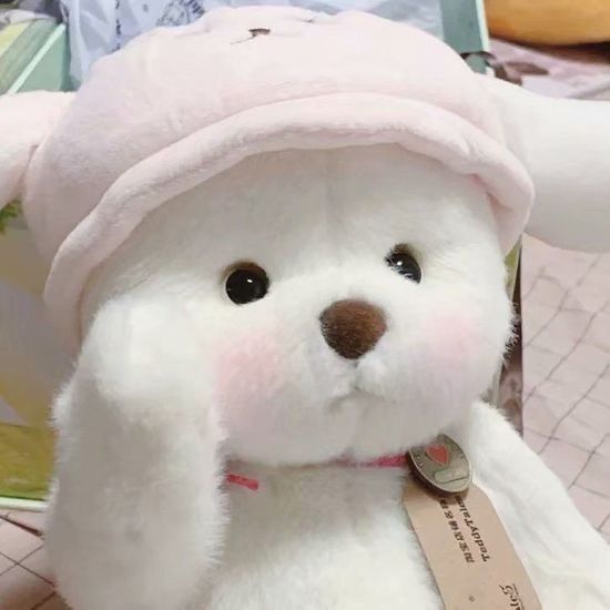 요즘 프사로 많이 보이는 귀여운 곰인형! 레나베어🧸 | 인스티즈