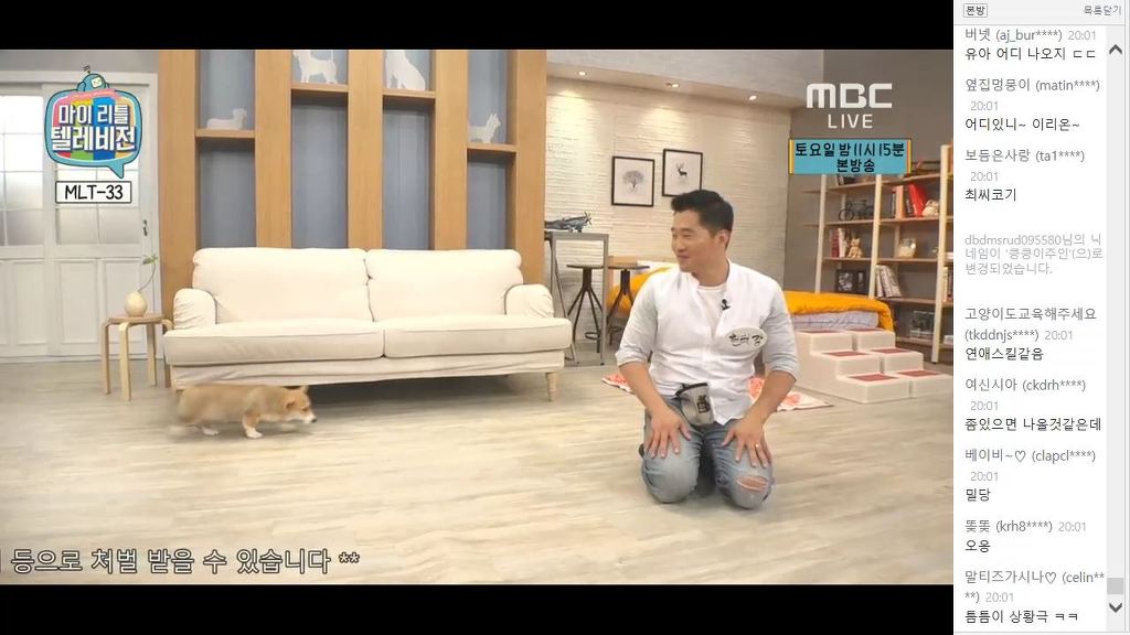 강형욱 훈련사가 알려주는 애견키우기 팁(feat 마리텔) | 인스티즈